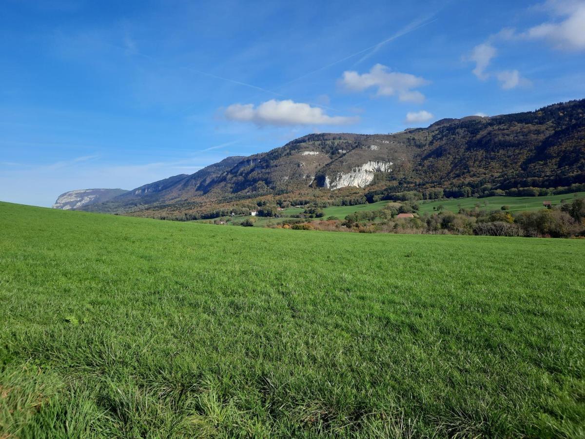 The Originals City, Hotel Rey Du Mont Sion, Saint-Julien-En-Genevois Sud Εξωτερικό φωτογραφία