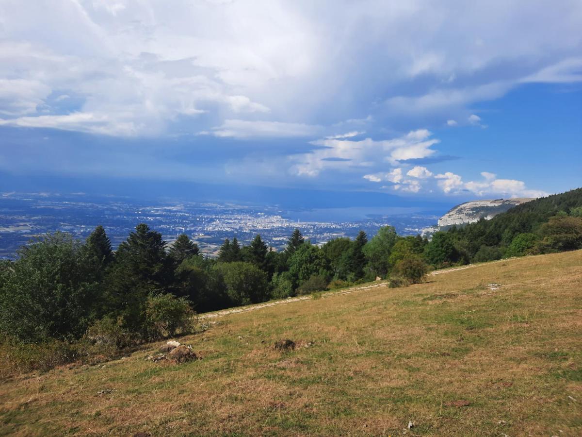 The Originals City, Hotel Rey Du Mont Sion, Saint-Julien-En-Genevois Sud Εξωτερικό φωτογραφία