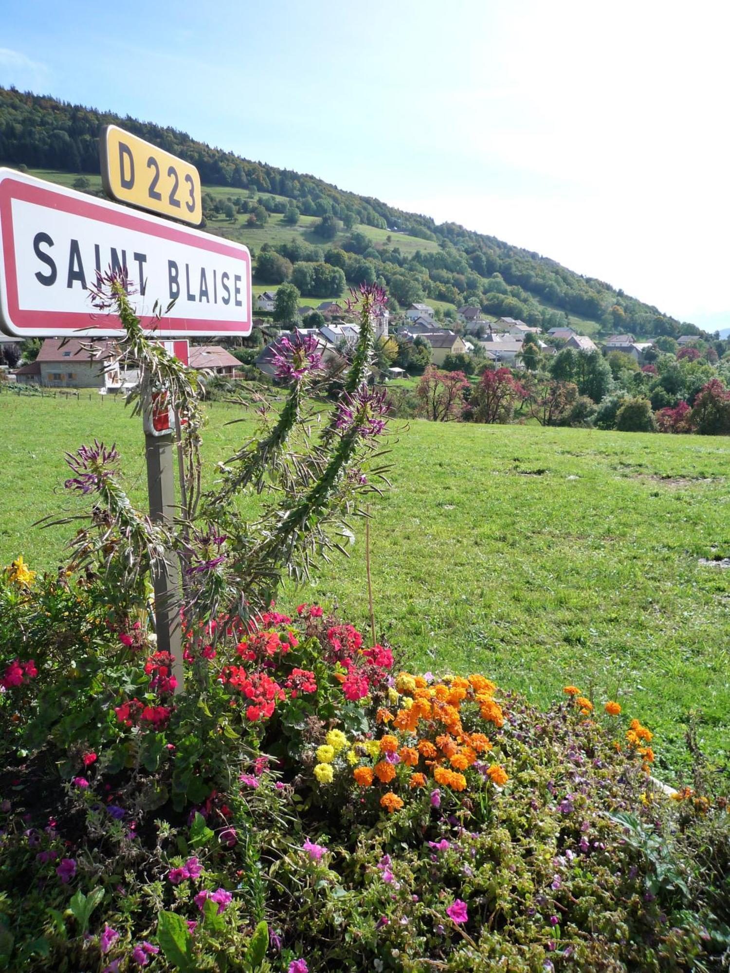 The Originals City, Hotel Rey Du Mont Sion, Saint-Julien-En-Genevois Sud Εξωτερικό φωτογραφία